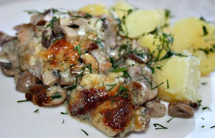 Картошка с курицей и грибами: рецепты приготовления в духовке, мультиварке, сковороде и кастрюле