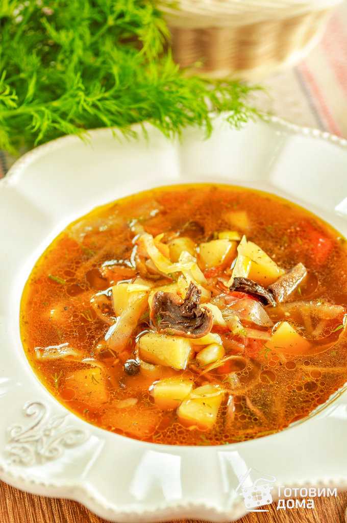 Грибной суп с лисичками — рецепты из замороженных и свежих грибов