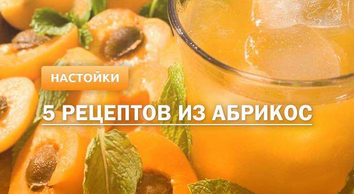 Рецепт апельсиновой водки, самогона или настойки
