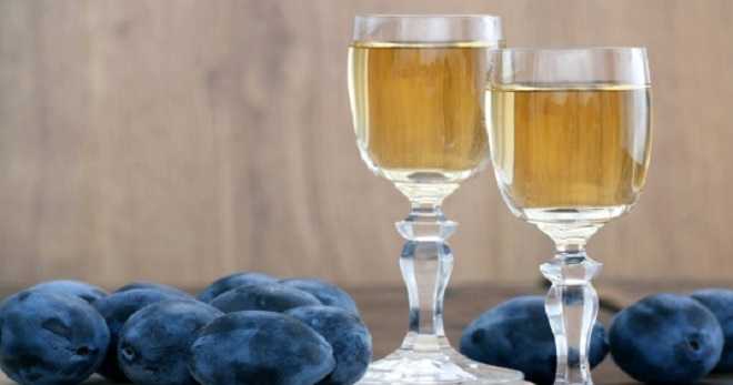 Как приготовить вино из сливы в домашних условиях по простым рецептам