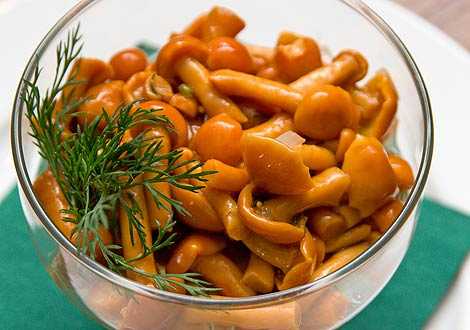Как готовить грибы рыжики: блюда ежедневного меню и домашние заготовки на зиму
