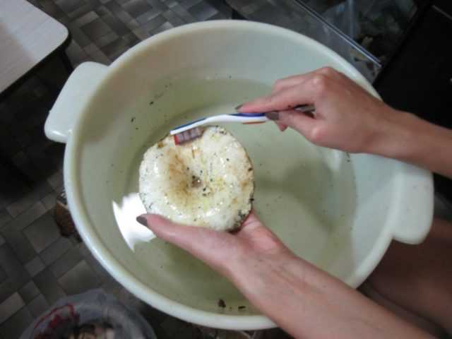 Сколько сыпать соли на ведро груздей для вымочке горичи
