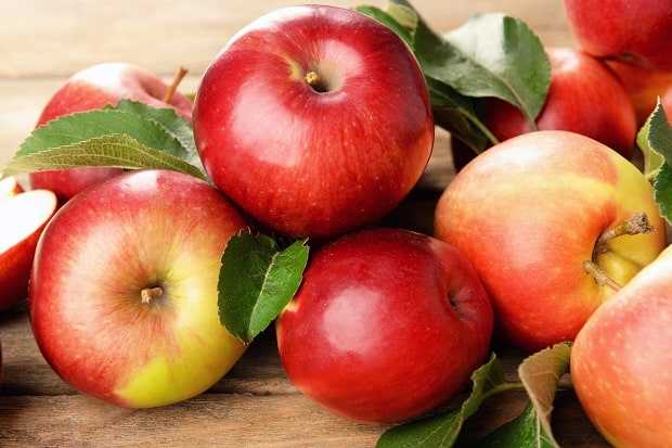 Моченые яблоки: польза и вред продукта