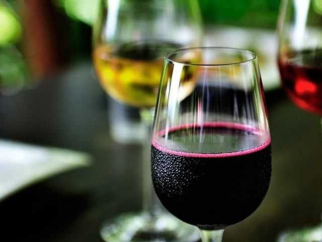 Вино из жимолости — от простого к сложному