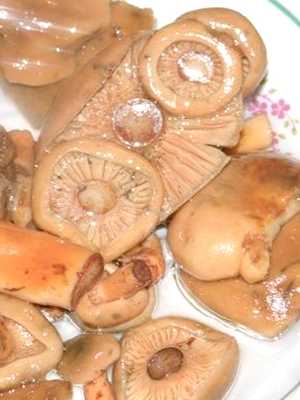 Сколько и как хранить маринованные грибы в домашних условиях