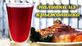 Ликеры и наливки из крыжовника – 6 отличных рецептов!