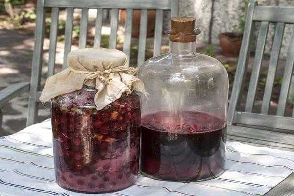 Вино из вишни в домашних условиях – простые рецепты вишневого вина