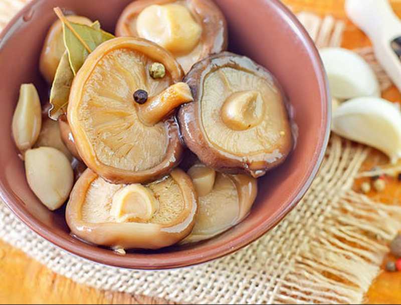 Икра из соленых грибов: 19 лучших рецептов приготовления, правила хранения