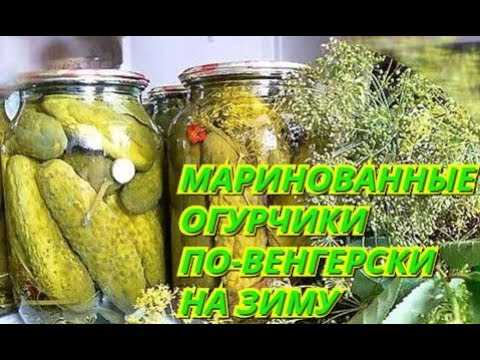 Рецепты огурчиков по-болгарски: ностальгия за ссср — обалденно вкусные и хрустящие