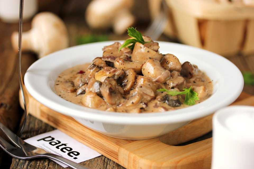 Белые грибы со сливками: соус, подливка, рецепты приготовления с фото, калорийность