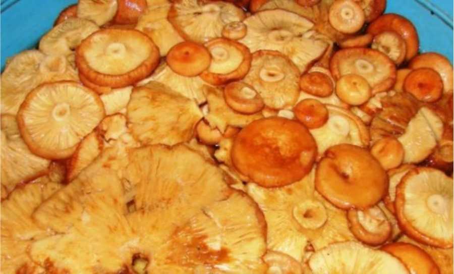 Как пожарить сушеные грибы: разные способы и несложные рецепты приготовления