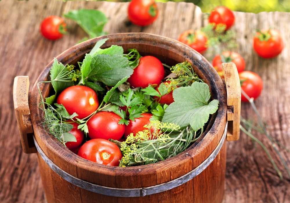 Как засолить зеленые помидоры холодным способом в кастрюле: рецепт с фото.