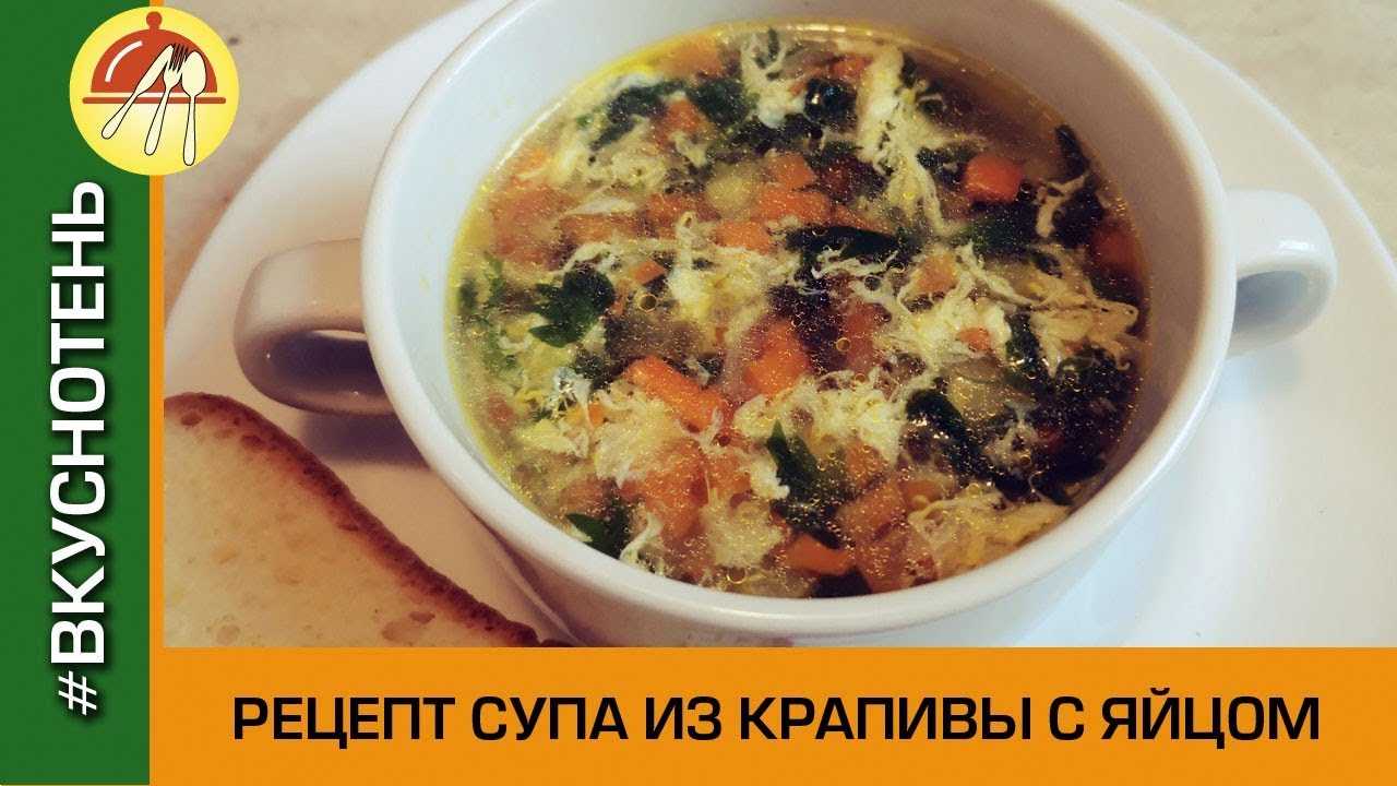 Чем полезен суп из крапивы: польза и вред блюда для взрослых и детей