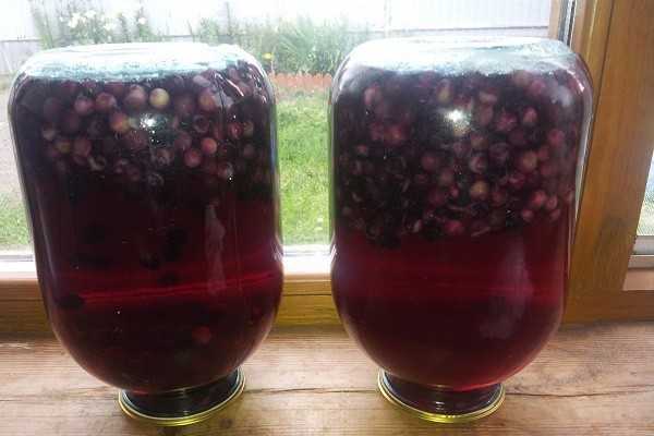 Рецепты домашнего вина из ягод: как сделать из свежих и замороженных. простой пошаговый процесс приготовления: подготовка плодов, сока, брожение и осветление