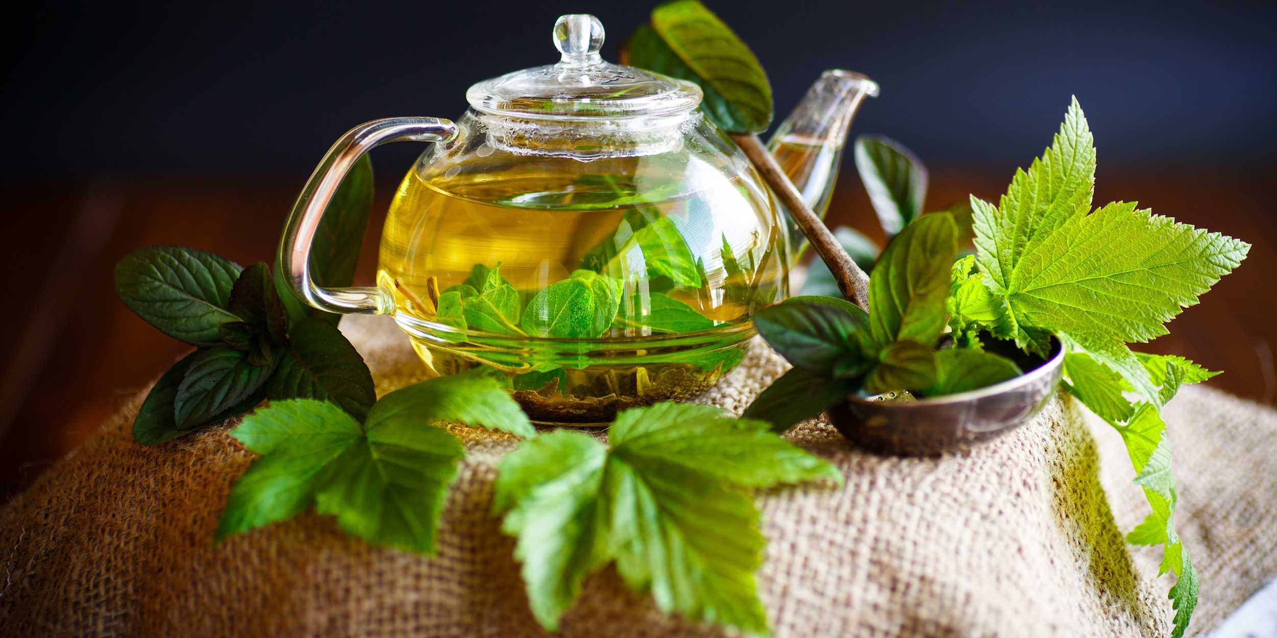 Чай из листьев смородины: какими свойствами обладает напиток и от чего помогает, как правильно собрать и заготовить листья, какие существуют рецепты приготовления напитка.