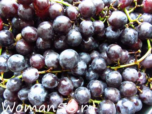 Компот из винограда на зиму: рецепты и особенности приготовления в домашних условиях.