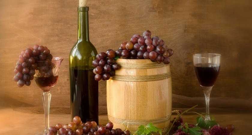 Домашнее вино из винограда Изабелла: лучшие рецепты приготовления.