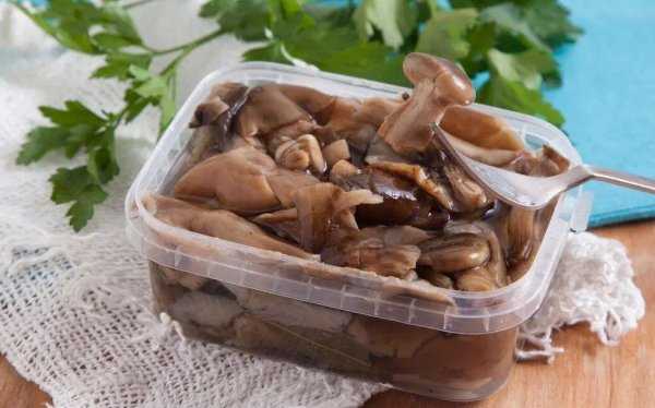 Как солить грибы - рецепты засолки горячим и холодным способом, как хранить и какие грибы солить