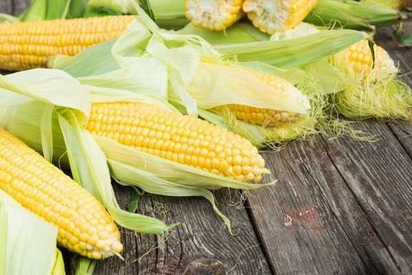 Как заморозить кукурузу на зиму — целые початки и зёрна россыпью