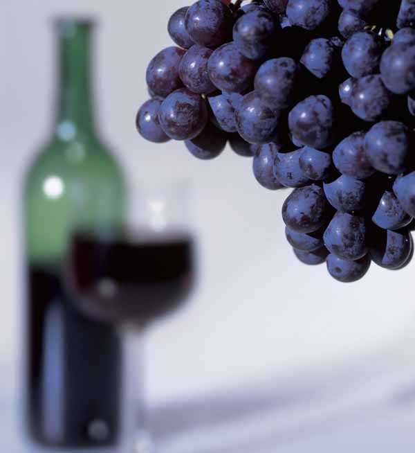 Как сделать домашнее белое вино из винограда