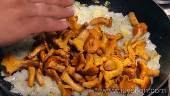 Лисички в сливочном соусе: фото и рецепты паст и других грибных блюд