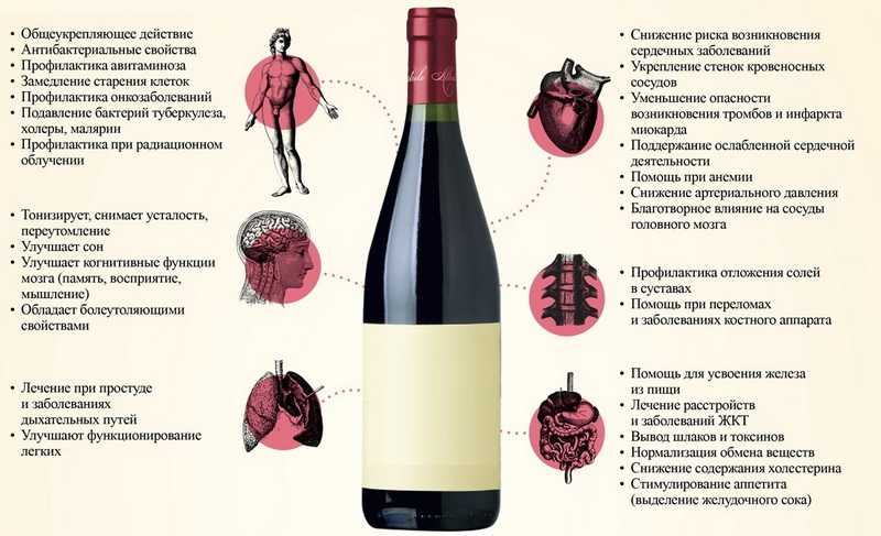 Домашнее вино из изюма: как правильно и вкусно приготовить