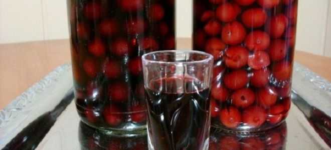 Настойка вишневая на спирту в домашних условиях