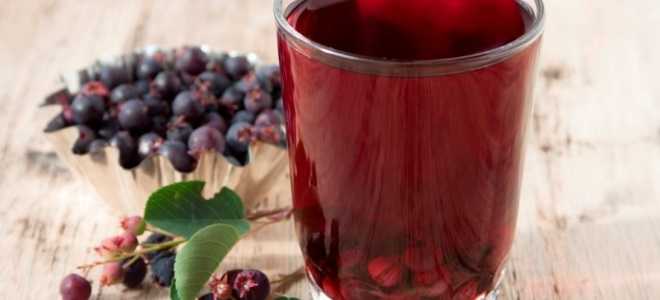 Вино из ирги в домашних условиях – 2 рецепта, 2 подхода