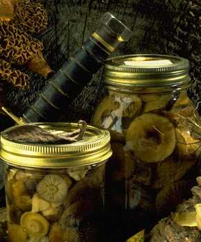 Маринованные белые грибы: готовим лесные боровички на зиму по проверенному рецепту