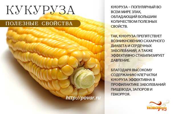 Консервированная кукуруза: польза и вред для здоровья, возможные противопоказания