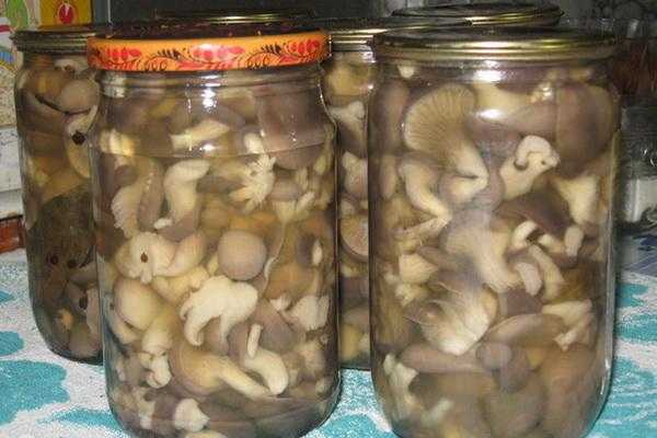 Маринованные свинушки: как готовить на зиму грибы в домашних условиях
