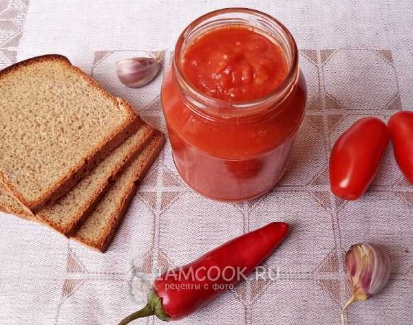 Соус из красной смородины на зиму: можно ли подавать к мясу и рыбе и какие есть рецепты, есть ли бесподобный способ приготовления кетчупа, как он хранится