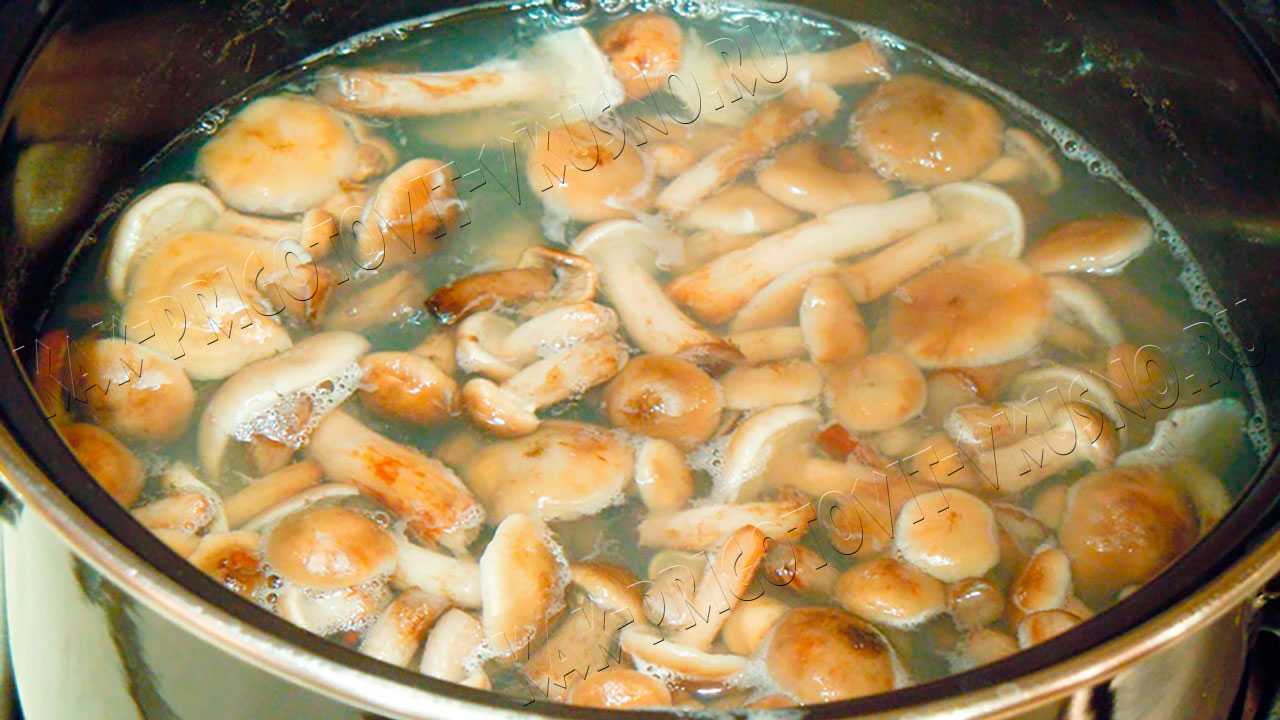 Подлива из молотых сушеных грибов рецепт. грибные соусы из сушёных грибов