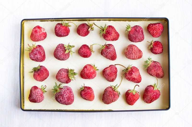 Как заморозить черешню на зиму в морозилке: 5 способов заморозки ягод в домашних условиях » сусеки