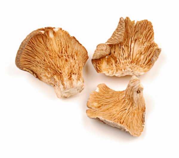 Как правильно сушить грибы в домашних условиях и способы сушки, правильное хранение сухих грибов. » сусеки