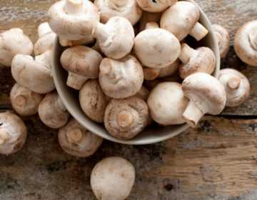 Сколько варить грибы перед заморозкой на зиму – можно ли морозить рыжики в свежем виде?