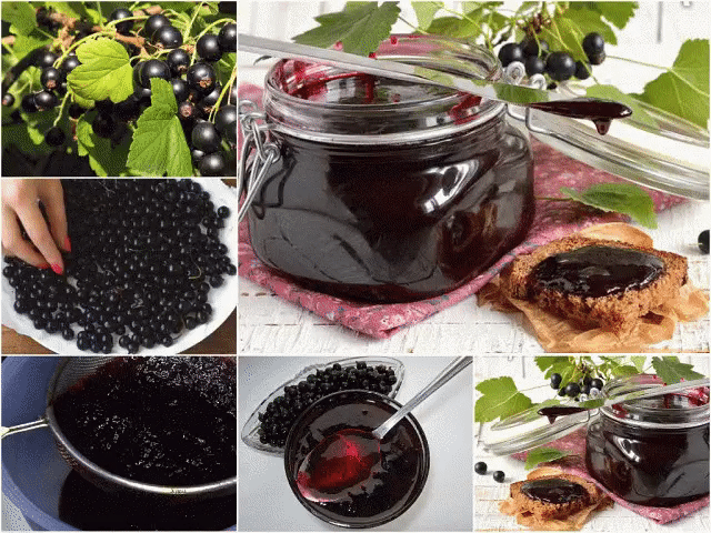 Джем из черной смородины: 17 вкусных рецептов приготовления конфитюр на зиму
