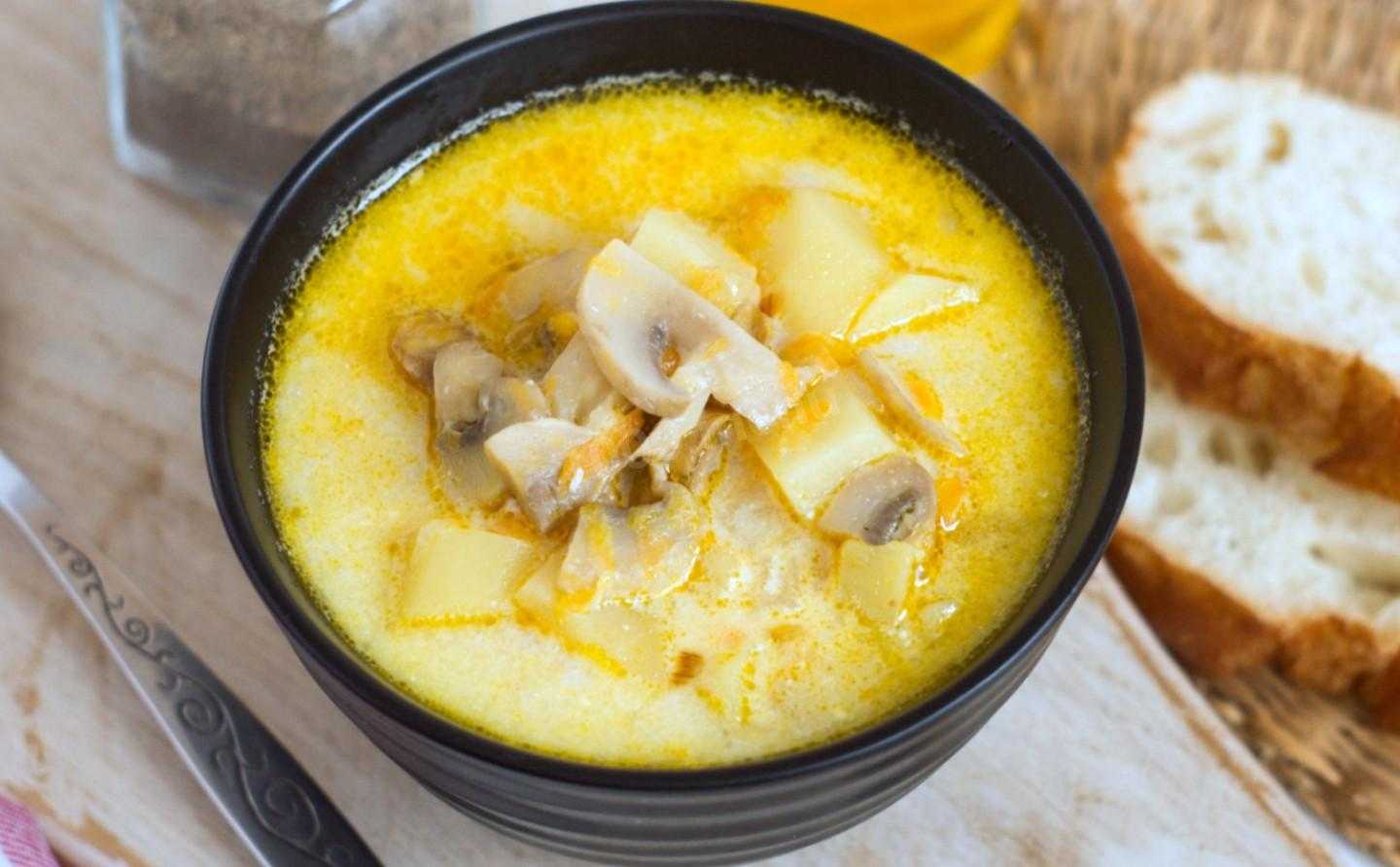 Суп с белыми грибами и плавленым сыром: как приготовить с гренками, зеленью, курицей, из свежих и сушеных плодовых тел. Рецепт для мультиварки.