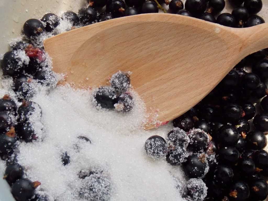 Смородина черная перетертая с сахаром на зиму без варки - рецепты