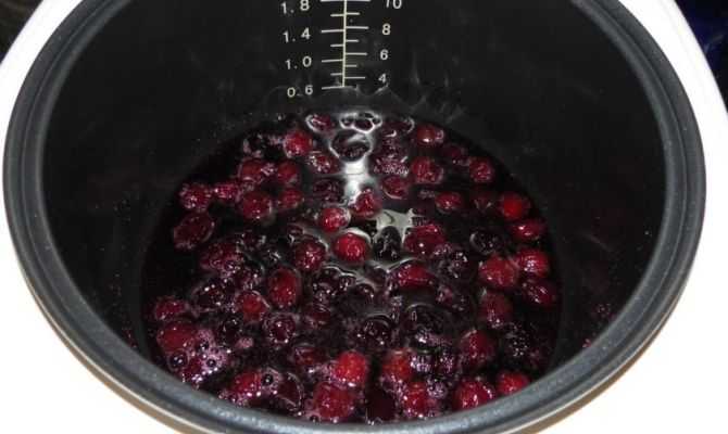 Варенье из вишни и черешни на зиму. как варить вишневое варенье с косточками