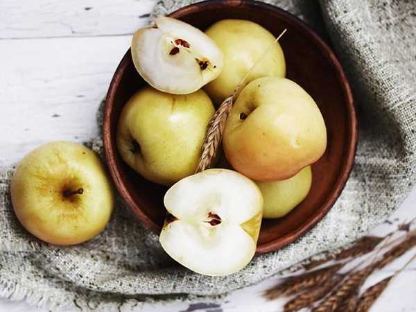 Моченые яблоки на зиму – в банках, бочках и ведрах