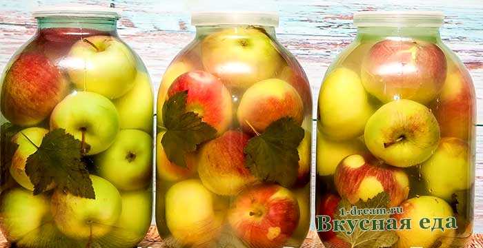 Яблоки мочёные на зиму — домашние рецепты приготовления моченых яблок