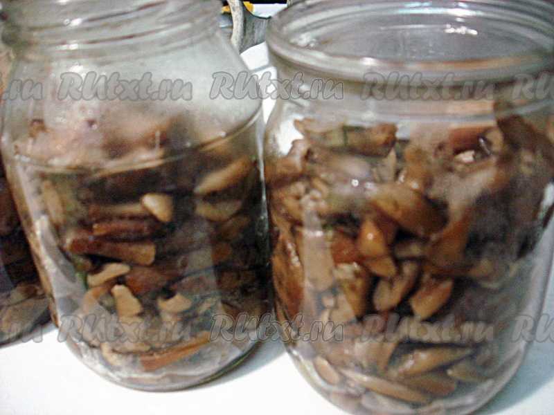 Как хранить соленые грибы после засолки – способы и сроки
