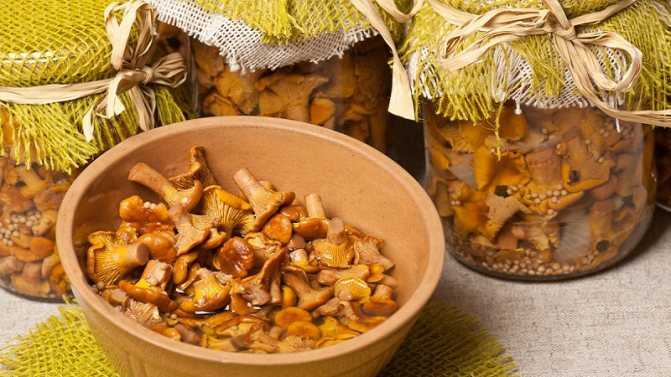Хрустящие маринованные лисички на зиму: 5 простых рецептов приготовления