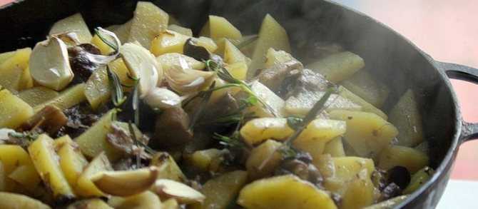Жульен. 5 вкусных рецептов приготовления: классический, с курицей и грибами, со сметаной, в картофеле и в тарталетках.