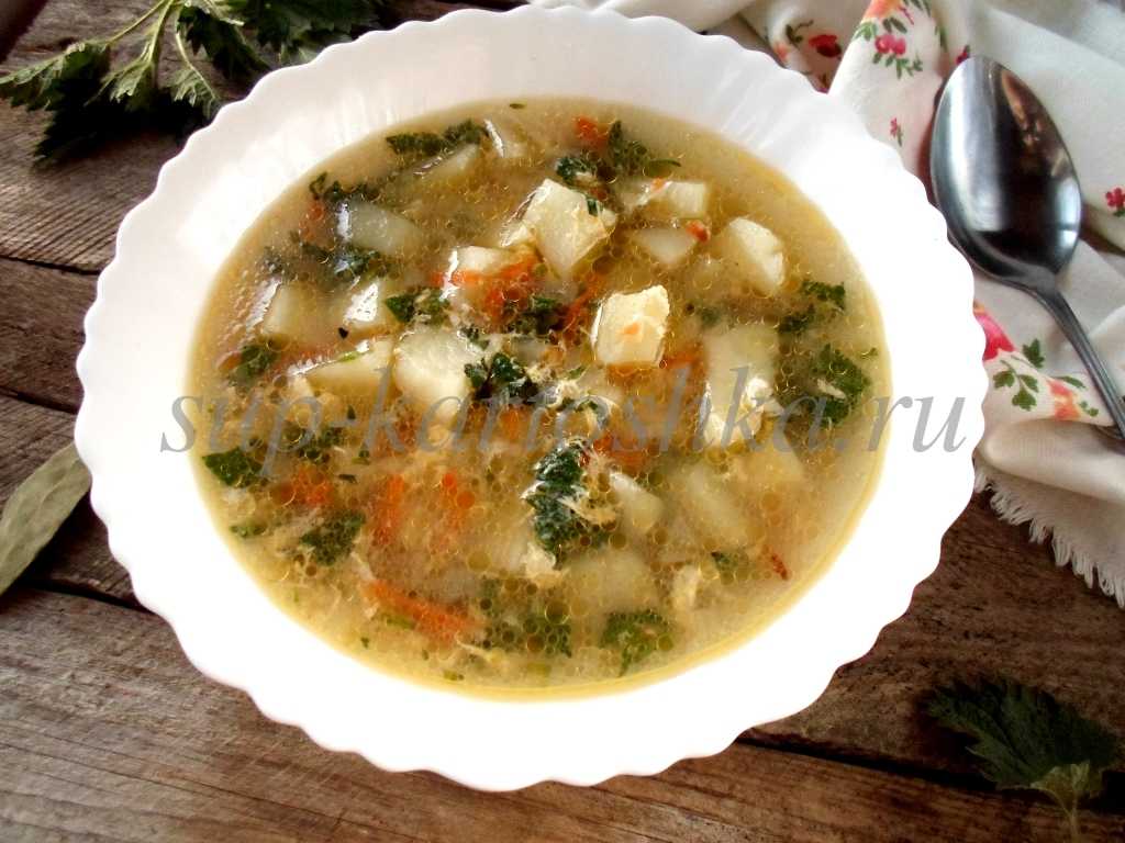 Суп из крапивы – 6 вкусных витаминных рецептов крапивного супа