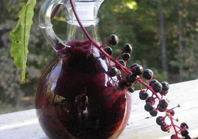Ликер из красной рябины - 4 рецепта на водке, спирту и коньяке