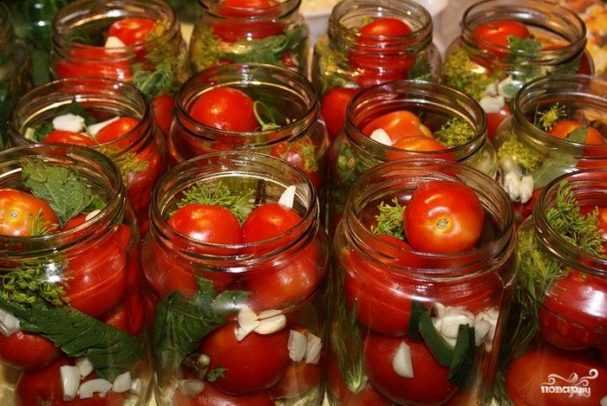 Малосольные помидоры быстрого приготовления: с чесноком и зеленью, в пакете и в кастрюле