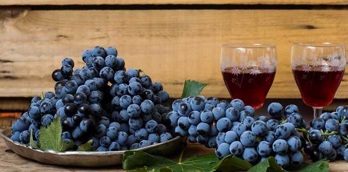 Вино изабелла: рецепты приготовления сухого вина из винограда в домашних условиях