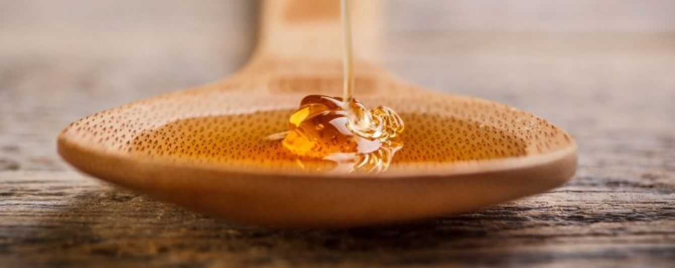 Свойства и целебный эффект мёда из каштана